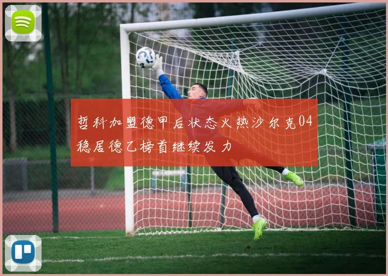哲科加盟德甲后状态火热沙尔克04稳居德乙榜首继续发力