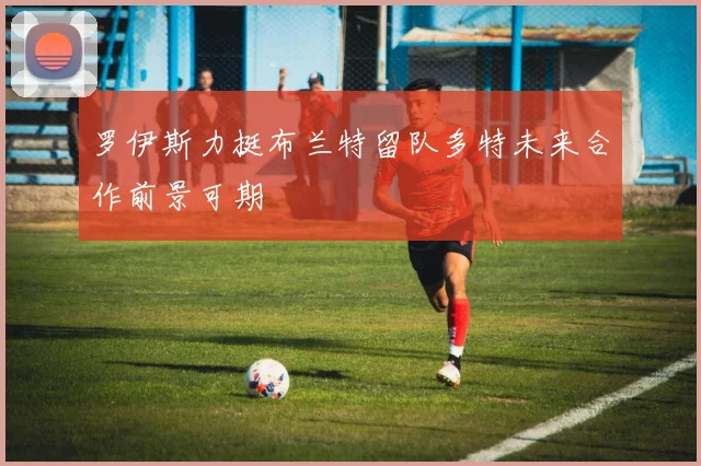 罗伊斯力挺布兰特留队多特未来合作前景可期