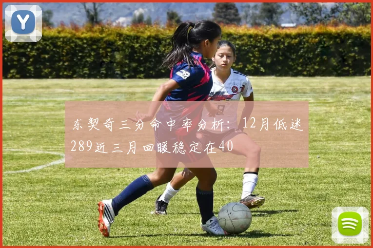 东契奇三分命中率分析：12月低迷289近三月回暖稳定在40