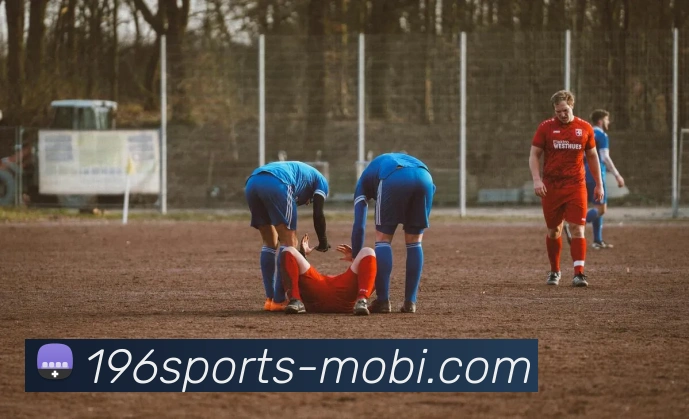 196体育发展历程